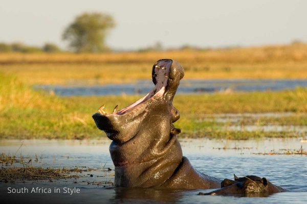 G_SA_Style_1 G_SA_Style_1